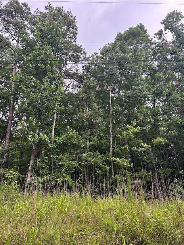 220 Walnut Dr, Westminster, SC 29693 - photo 10