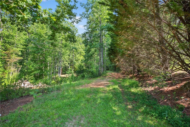 323 Indian Trl, Salem, SC 29676 - view of yard with a wooded view