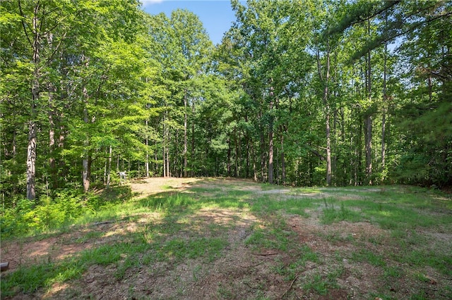 323 Indian Trl, Salem, SC 29676 - view of yard featuring a forest view