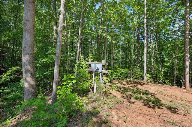 323 Indian Trl, Salem, SC 29676 - exterior view of a forest and electric meter