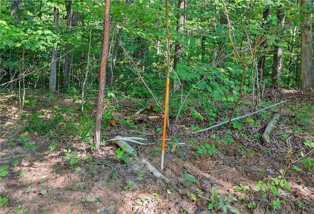 323 Indian Trl, Salem, SC 29676 - view of undeveloped land