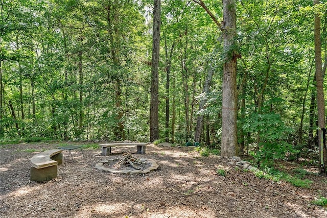 117 Long Needle Way, Anderson, SC 29621 - photo 36