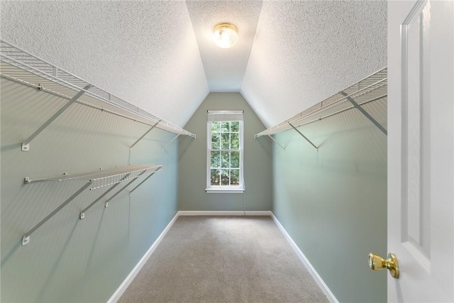117 Long Needle Way, Anderson, SC 29621 - photo 19