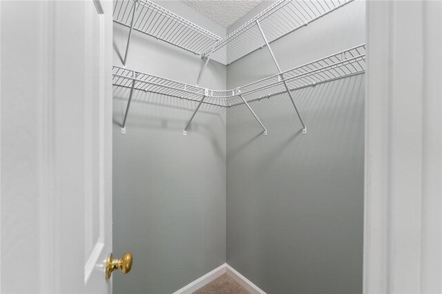 117 Long Needle Way, Anderson, SC 29621 - photo 20