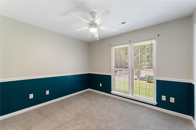117 Long Needle Way, Anderson, SC 29621 - photo 22