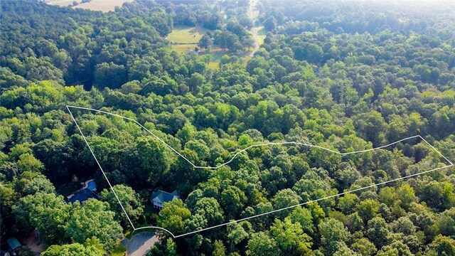 117 Long Needle Way, Anderson, SC 29621 - photo 44