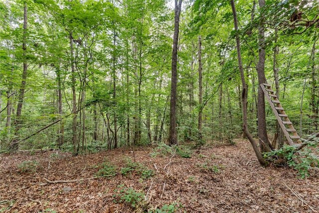 117 Long Needle Way, Anderson, SC 29621 - photo 39