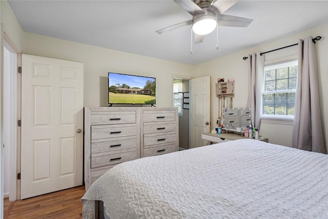 123 Radisson Rd, Seneca, SC 29678 - bedroom with wood finished floors and a ceiling fan