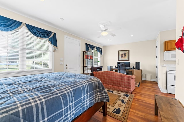 869 Gin House Rd, Abbeville, SC 29620 - photo 38
