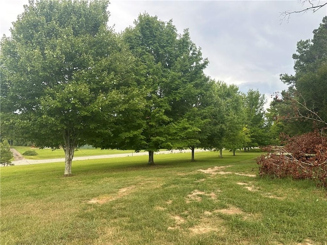 727 Westminster Hwy, Westminster, SC 29693 - photo 6