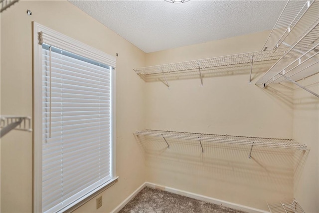 208 Playground Rd, Walhalla, SC 29691 - walk in closet featuring carpet
