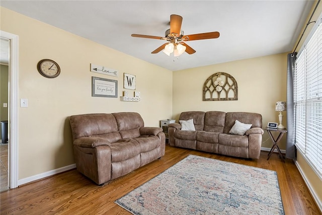 1147 Briarwood Dr, Seneca, SC 29672 - photo 9