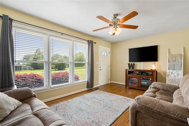 1147 Briarwood Dr, Seneca, SC 29672 - photo 10