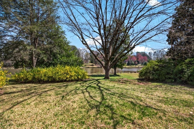 107 Lakeview Dr, Easley, SC 29642 - photo 38