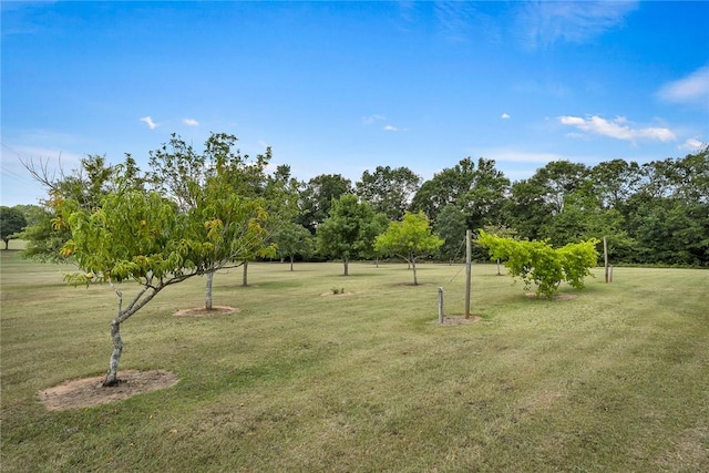 231 Public Well Rd, Anderson, SC 29626 - photo 45