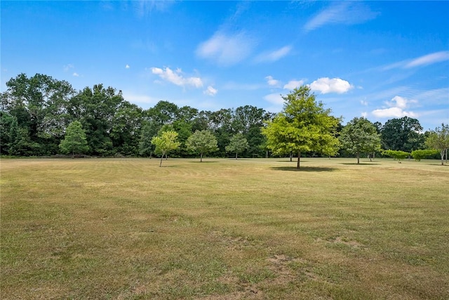 231 Public Well Rd, Anderson, SC 29626 - photo 47