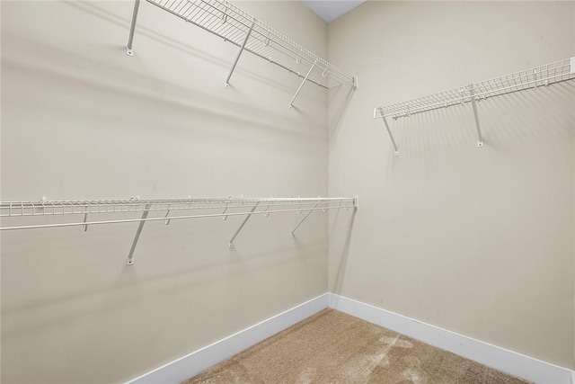 121 Hardin Ave, Clemson, SC 29631 - photo 37