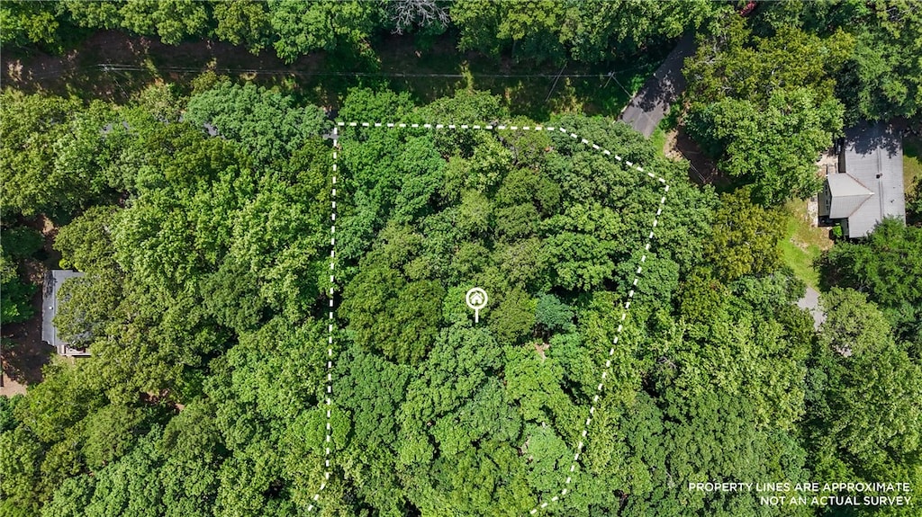00 Sweet Gum Dr, Westminster, SC 29693 - photo 1