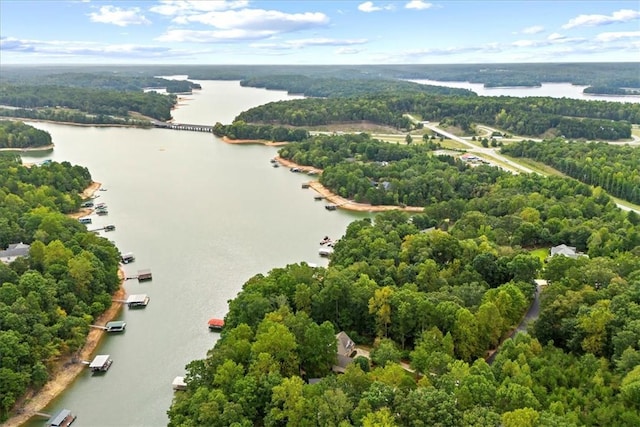 124 S Shore Dr, Fair Play, SC 29643 - photo 18
