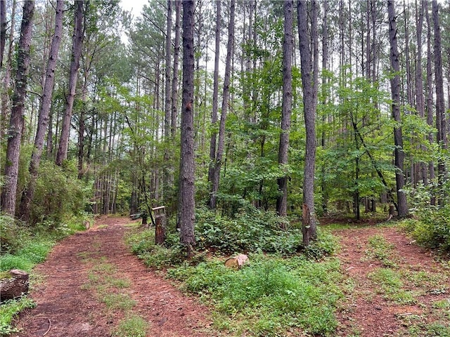 0 N Old Pendleton Rd, Easley, SC 29642 - photo 4