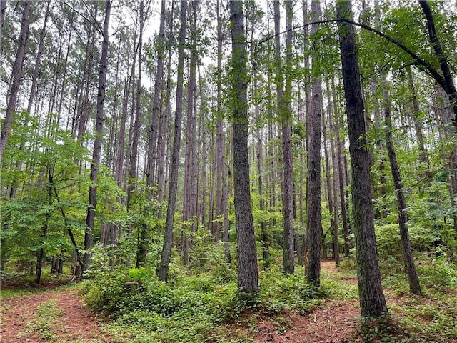 0 N Old Pendleton Rd, Easley, SC 29642 - photo 6