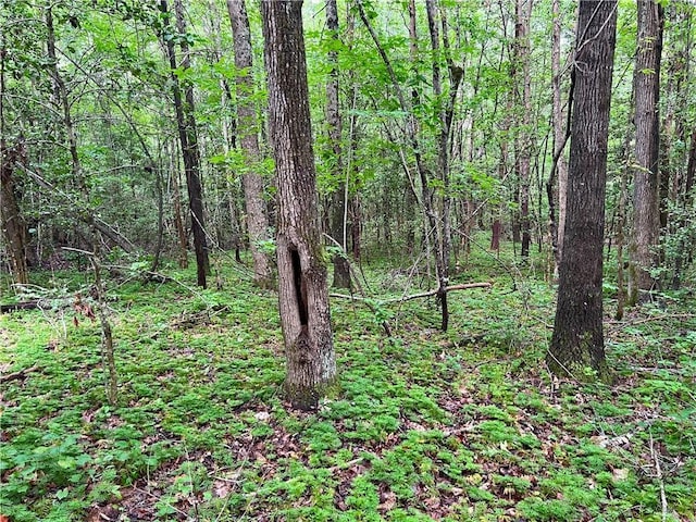 0 N Old Pendleton Rd, Easley, SC 29642 - photo 7