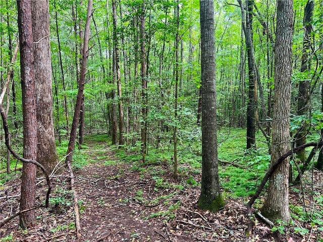 0 N Old Pendleton Rd, Easley, SC 29642 - photo 8