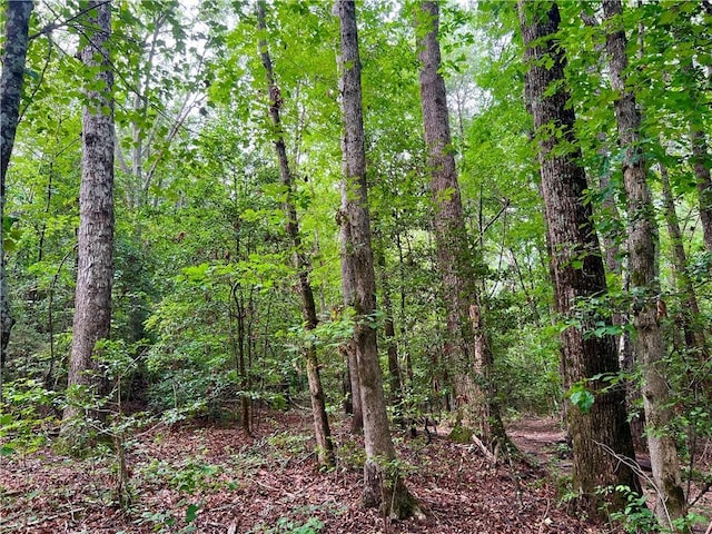 0 N Old Pendleton Rd, Easley, SC 29642 - photo 10