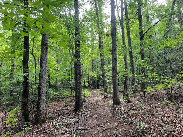 0 N Old Pendleton Rd, Easley, SC 29642 - photo 11