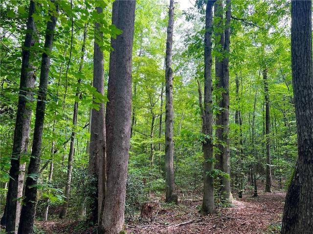 0 N Old Pendleton Rd, Easley, SC 29642 - photo 13
