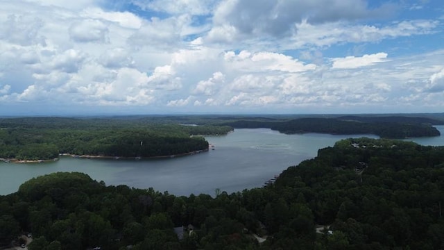 200 Lake View Dr, Lavonia, GA 30553 - photo 19