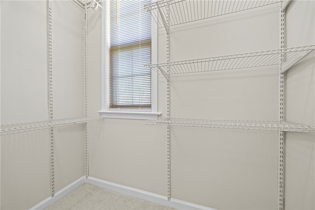 168 Wilderness Pt, Hartwell, GA 30643 - spacious closet featuring carpet flooring