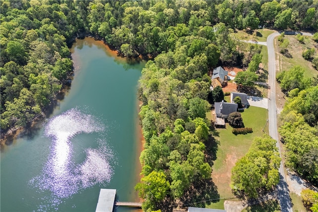 168 Wilderness Pt, Hartwell, GA 30643 - drone / aerial view of a nearby body of water