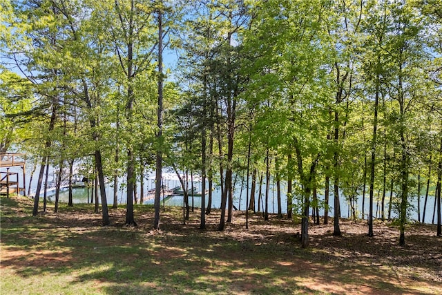 168 Wilderness Pt, Hartwell, GA 30643 - water view