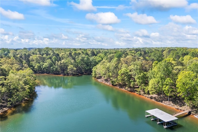 168 Wilderness Pt, Hartwell, GA 30643 - bird's eye view of a heavily wooded area and a large body of water