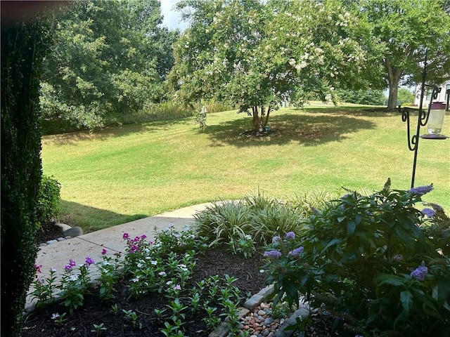 2409 Watkins Rd Extension, Unit Extension, Anderson, SC 29625 - photo 3