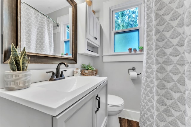 423 Lebanon Rd, Pendleton, SC 29670 - full bathroom with vanity, wood finished floors, ornamental molding, and a shower with curtain