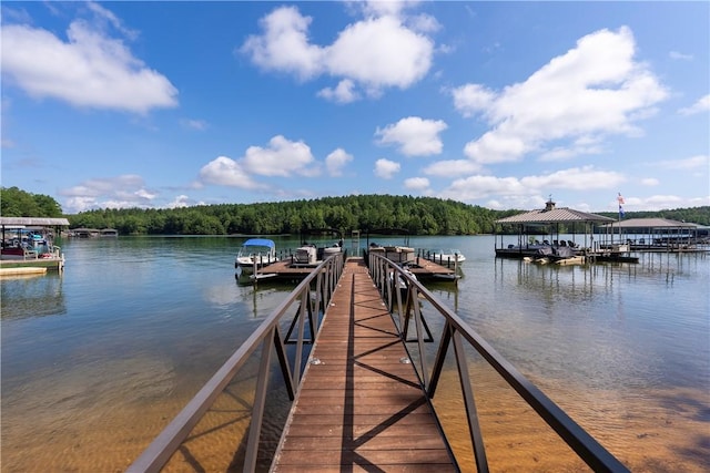 1268 Mooring Line Dr Unit B, Seneca, SC 29672 - photo 40