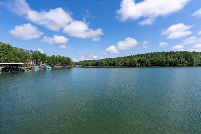 1268 Mooring Line Dr Unit B, Seneca, SC 29672 - photo 41