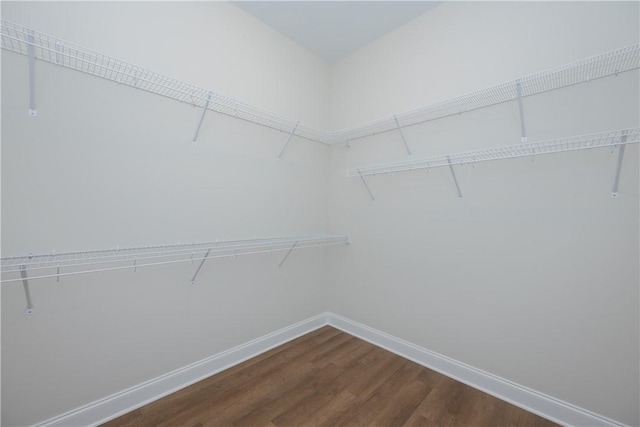 218 W Halfway Branch Rd, Walhalla, SC 29691 - walk in closet with dark wood-style floors