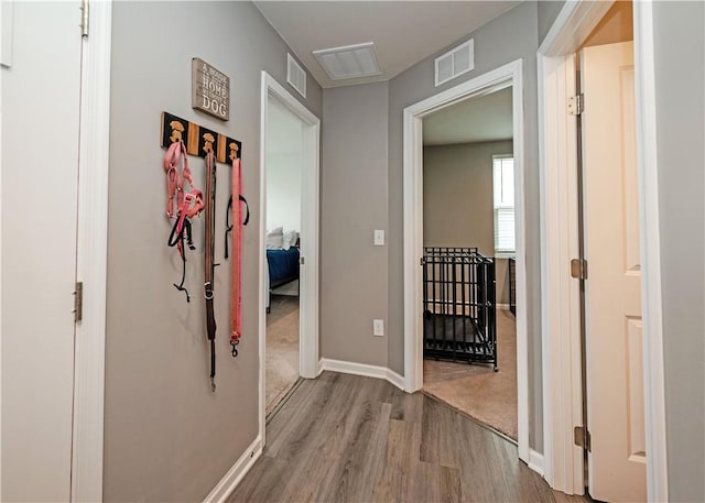 157 Bleckley Trl, Anderson, SC 29625 - photo 12