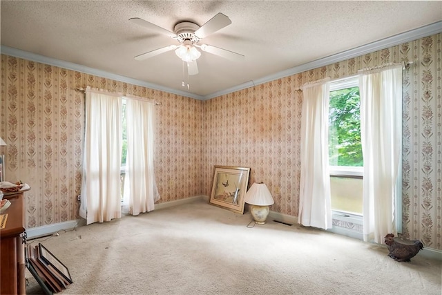 208 Williamsburg Rd, Anderson, SC 29621 - photo 16