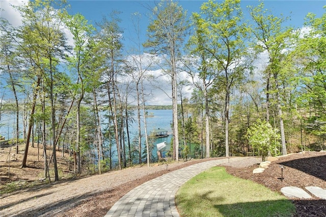 132 Promontory Ct, Six Mile, SC 29682 - photo 44