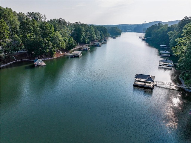 1114 Little River Dr, Seneca, SC 29672 - photo 23