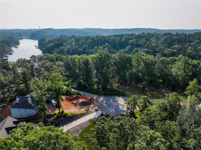 1114 Little River Dr, Seneca, SC 29672 - photo 24