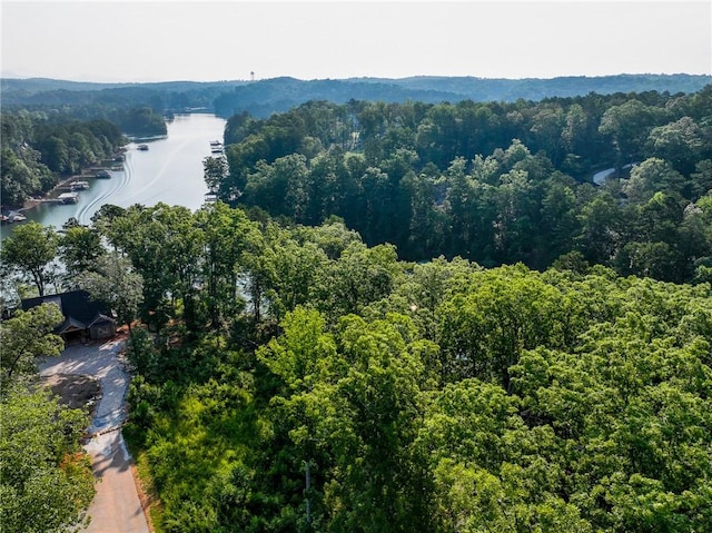 1114 Little River Dr, Seneca, SC 29672 - photo 25