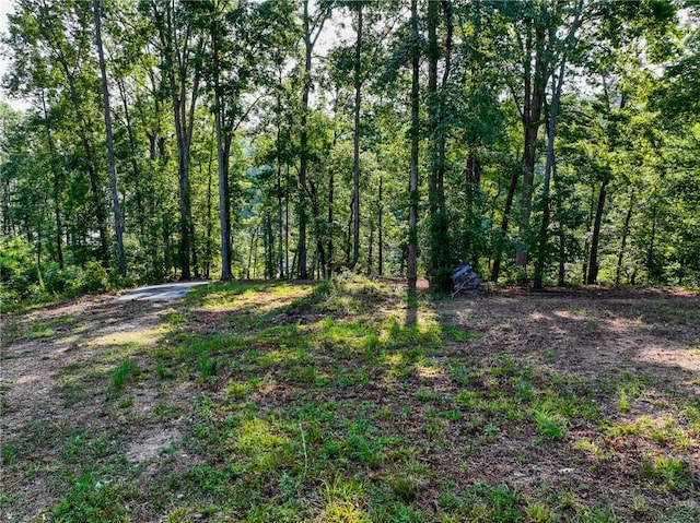 1114 Little River Dr, Seneca, SC 29672 - photo 26