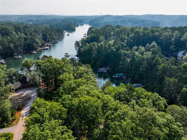 1114 Little River Dr, Seneca, SC 29672 - photo 28
