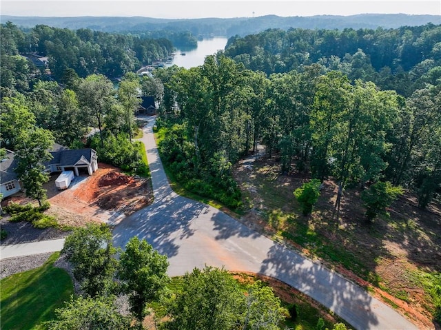 1114 Little River Dr, Seneca, SC 29672 - photo 29