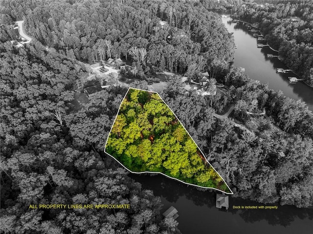 1114 Little River Dr, Seneca, SC 29672 - photo 1